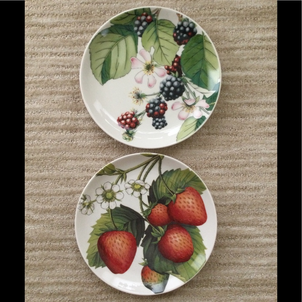 PORTMEIRION Set of 2 Salad Plates Eden Fruits